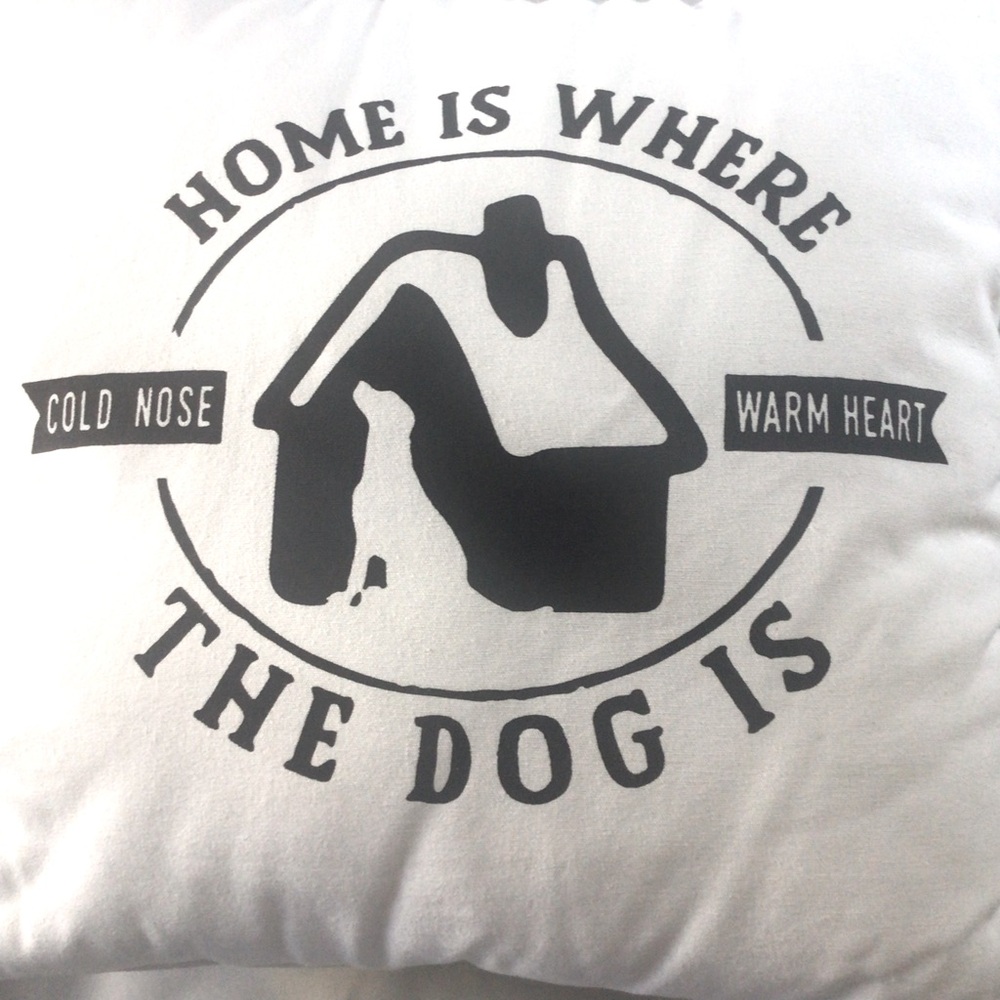 ‼️MOVING‼️ Throw Pillow with Dog House Design. 16” X 16”. Great condition. - Picture 2 of 4